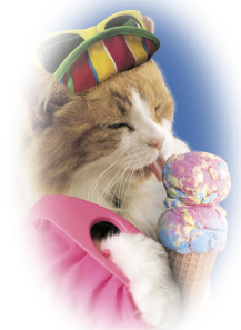 cat-licking-icecream-cone